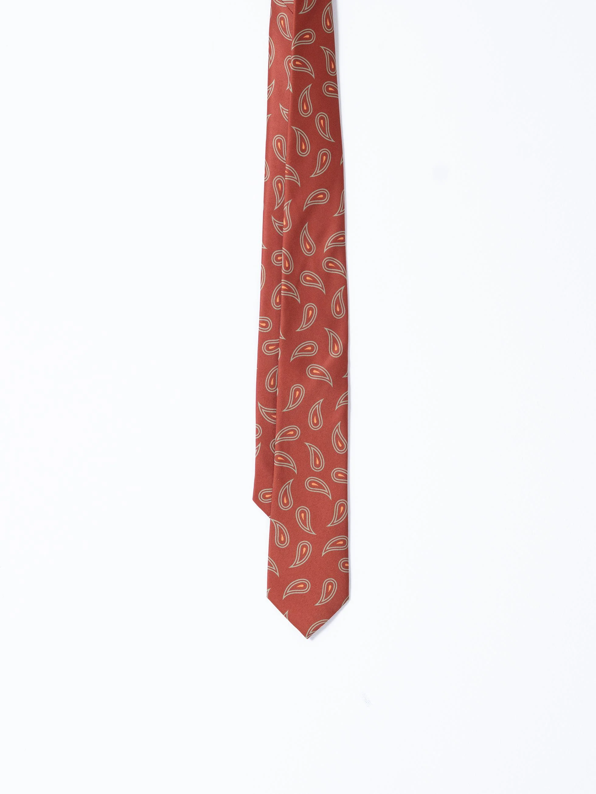 CORBATA AMEBAS SALMÓN